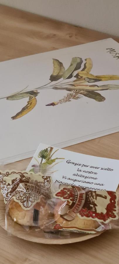 Musa Paradisiaca Torino Kültér fotó