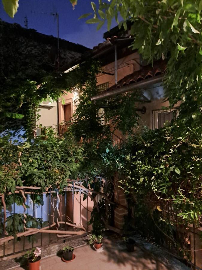 Musa Paradisiaca Torino Kültér fotó