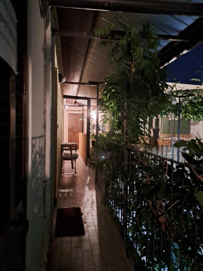 Musa Paradisiaca Torino Kültér fotó