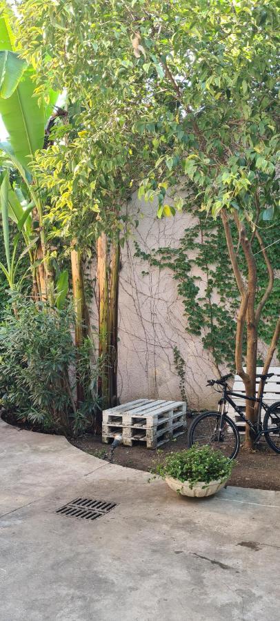 Musa Paradisiaca Torino Kültér fotó