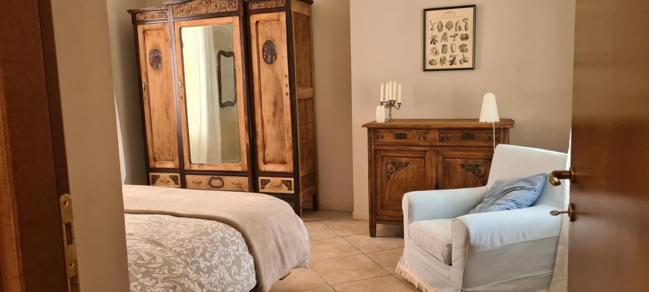 Musa Paradisiaca Torino Kültér fotó