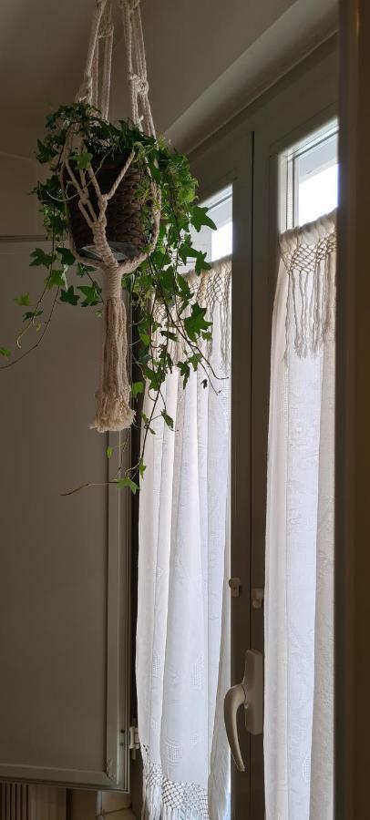 Musa Paradisiaca Torino Kültér fotó