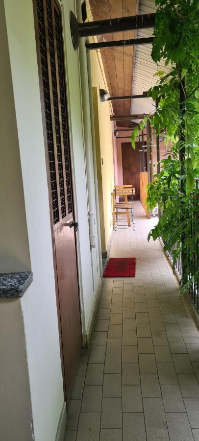 Musa Paradisiaca Torino Kültér fotó