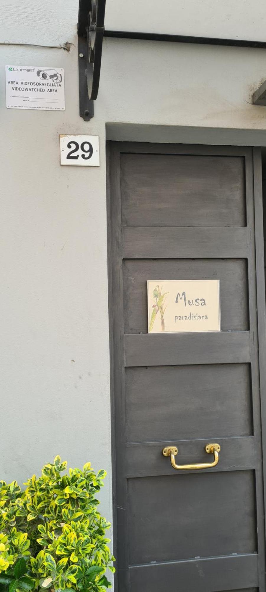Musa Paradisiaca Torino Szoba fotó